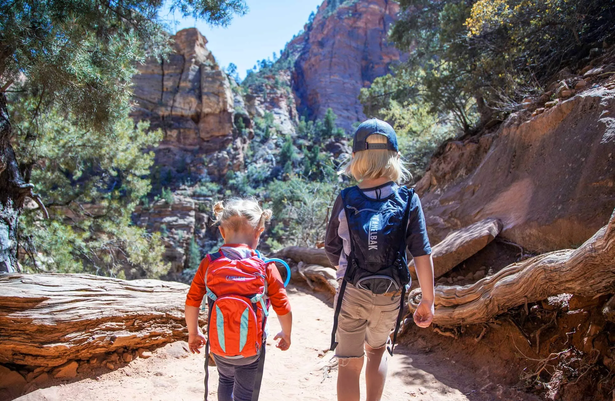 Camelbak Mini M.U.L.E. 50 oz