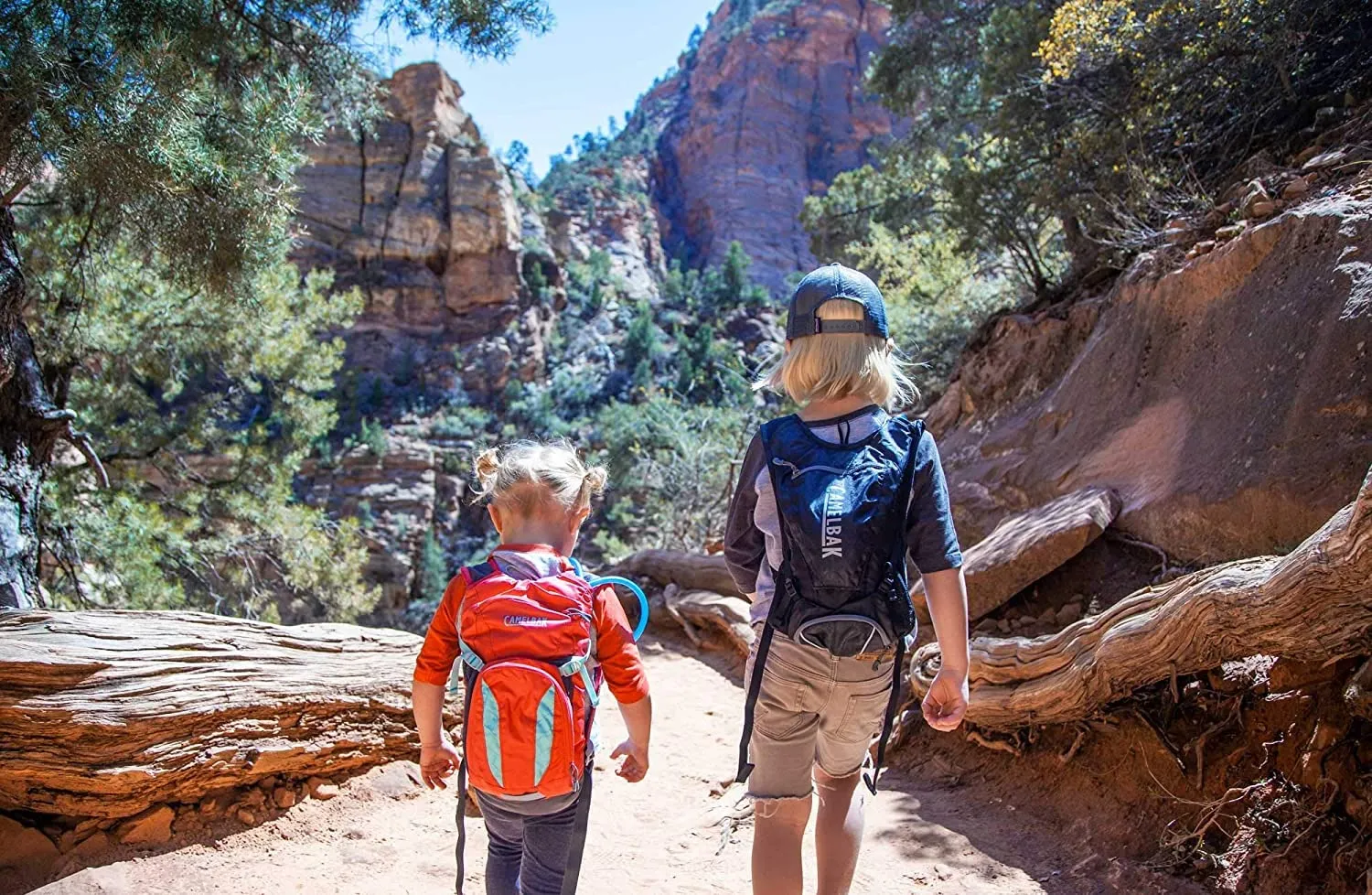 Camelbak Mini M.U.L.E. 50 oz