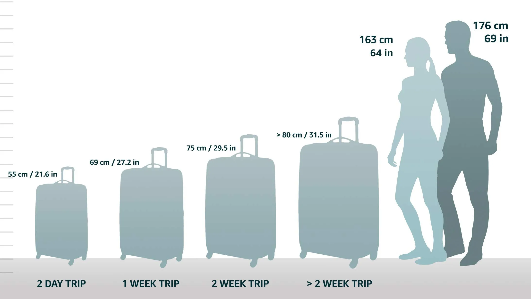DELSEY Paris Helium Hyperlite 29" 4-Wheel Large Luggage