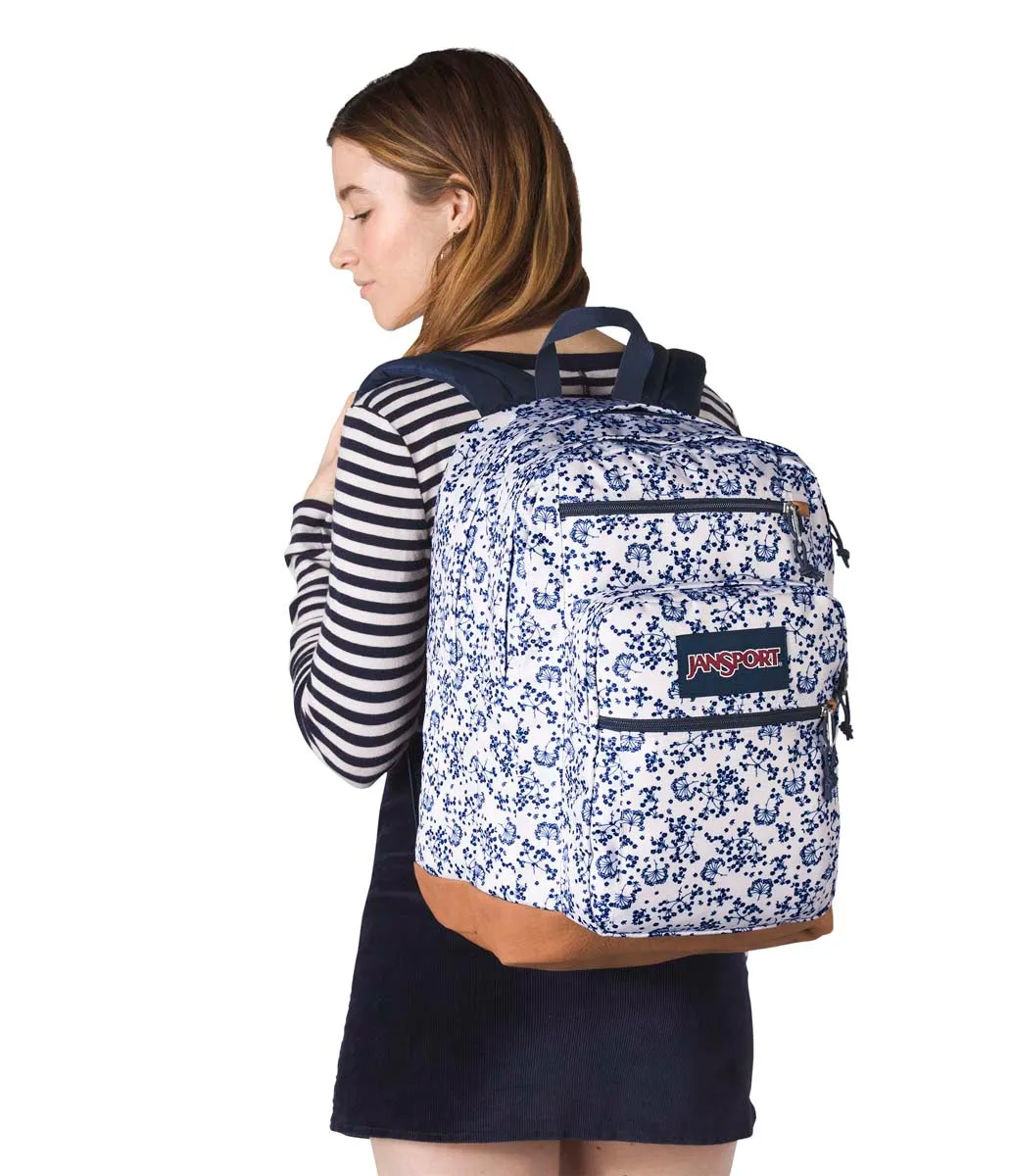 JanSport Classic Cool Student