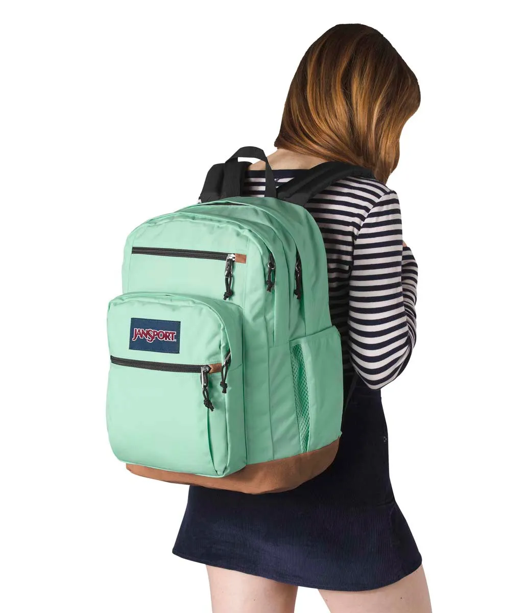 JanSport Classic Cool Student